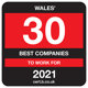 Top-30-Company-Wales